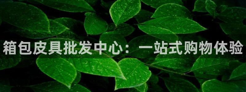 达娱乐辉70667