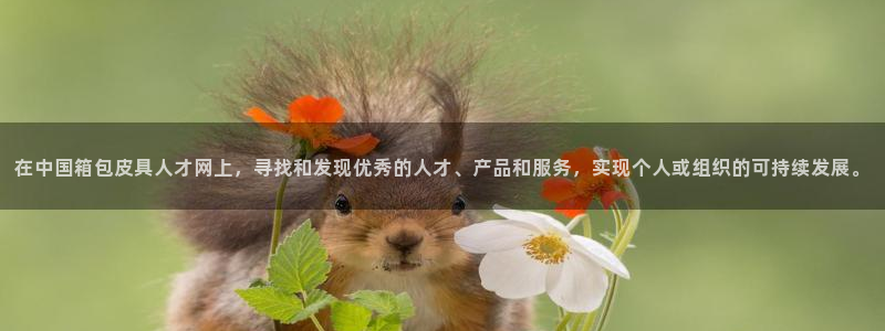 辉达娱乐五75505