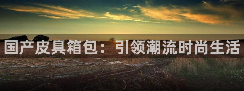 辉达娱乐己75505