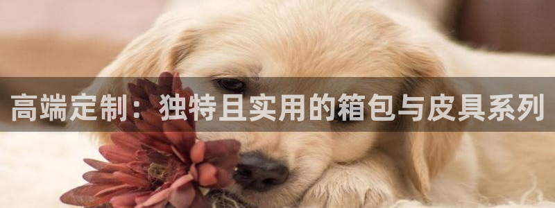 达利娱乐王辉