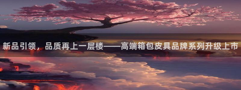 辉达平台官网电话
