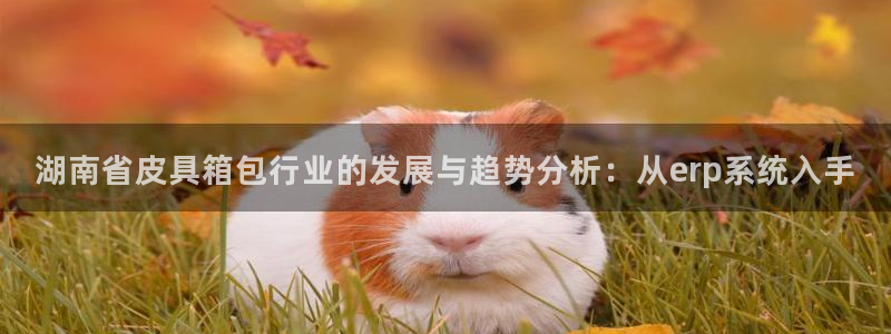辉达娱乐计划软件