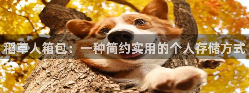 辉达娱乐最新版本更新内容