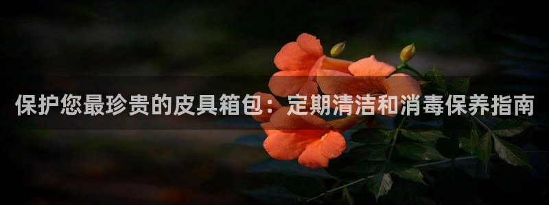 信誉辉达娱乐官方网址