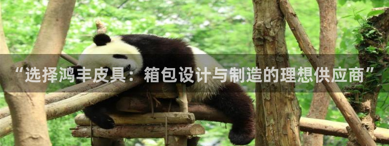 辉达娱乐123123