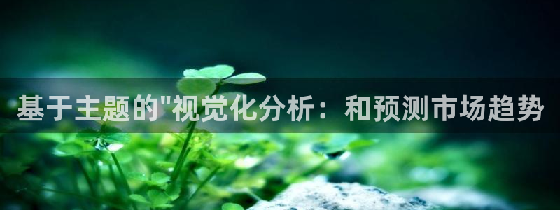 辉达娱乐公司