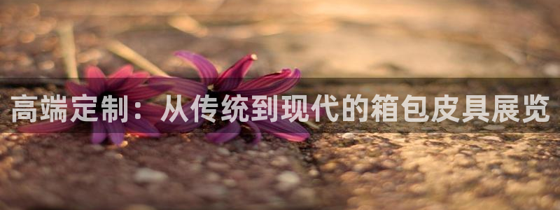 辉达娱乐体彩