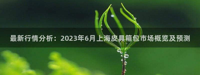 辉达娱乐公司