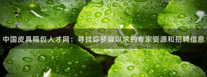 辉达娱乐珈75775