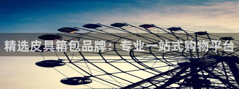 辉达娱乐总部