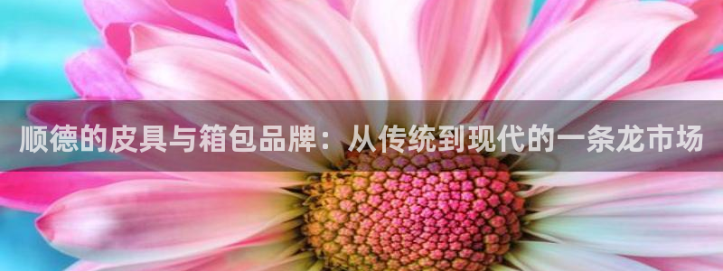 辉达娱乐 75505