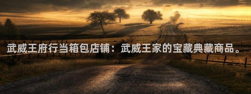 辉达娱乐招商
