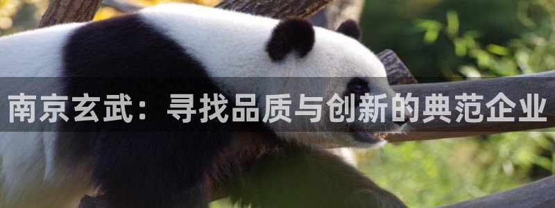 辉达娱乐重庆时时彩