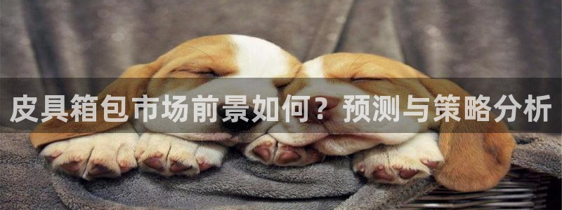 达娱乐辉70667