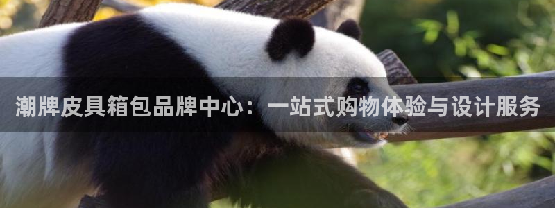 辉达娱乐加扣75775