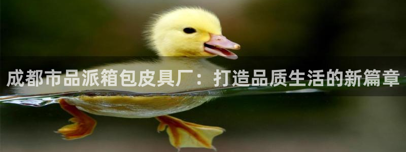 辉达娱乐电子