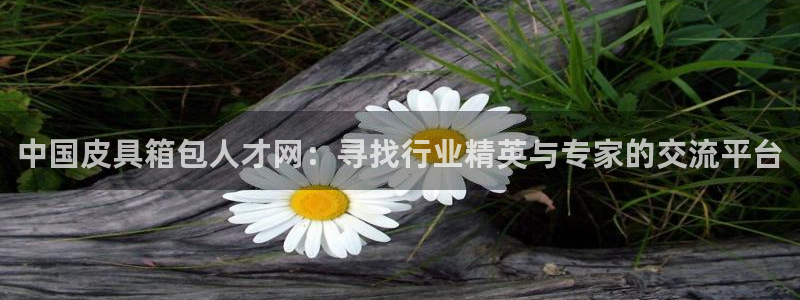 辉达娱乐丶39444