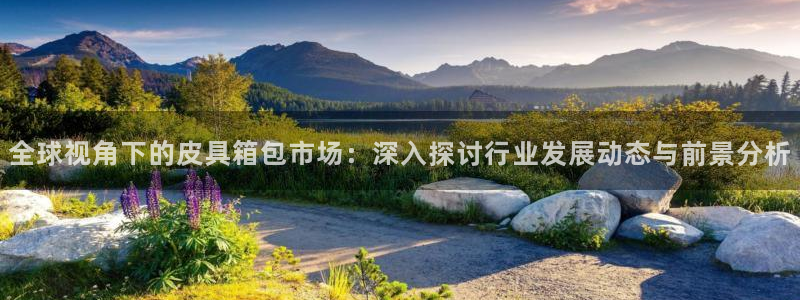 辉达娱乐招商