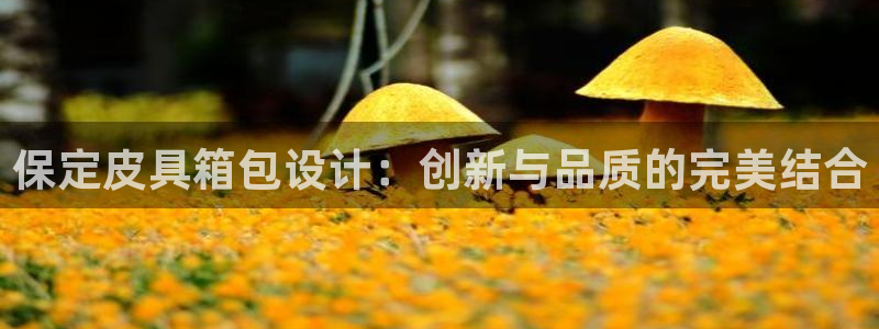 辉达平台官网电话