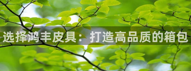 辉达娱乐检测