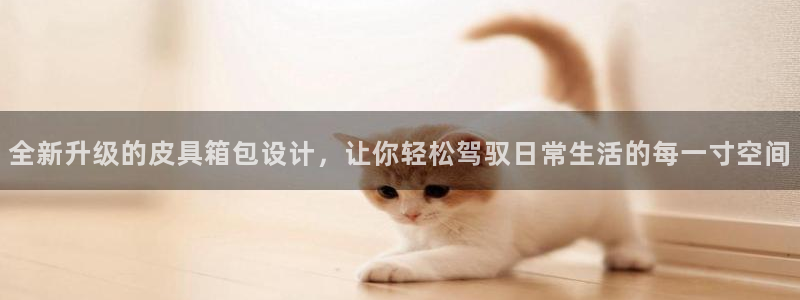 辉达娱乐加扣75775