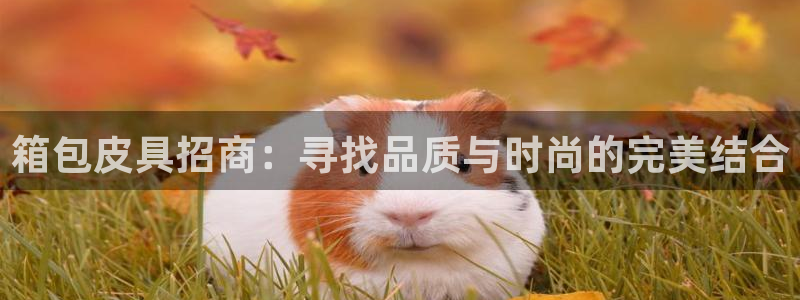 辉达娱乐彳75775