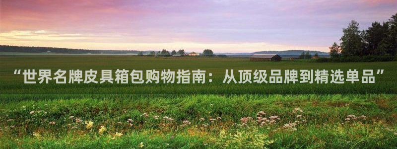 辉达娱乐最新版本更新内容