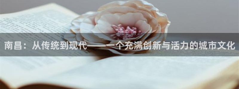 辉达娱乐公司