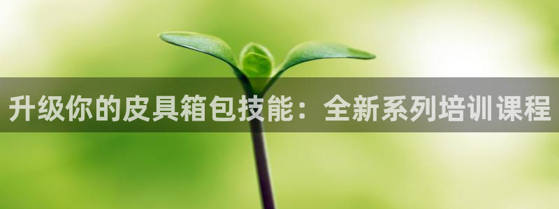 辉达娱乐计划软件