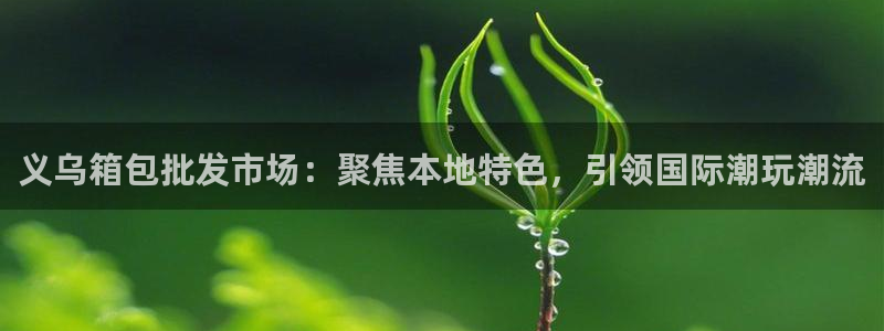 辉达娱乐