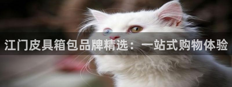 恒达娱乐辉70667