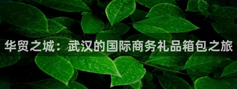 辉达娱乐丨39444