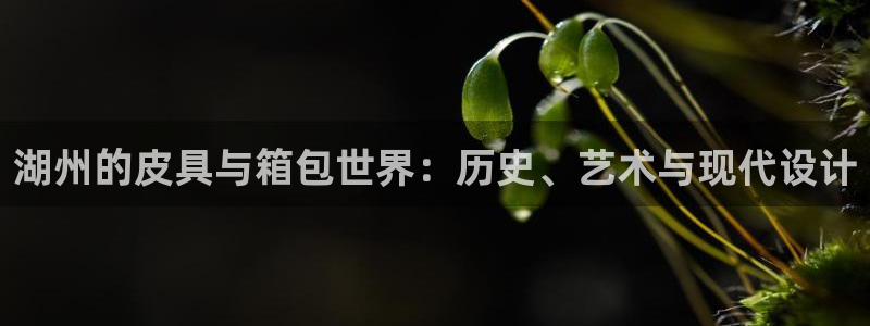 辉达娱乐体彩