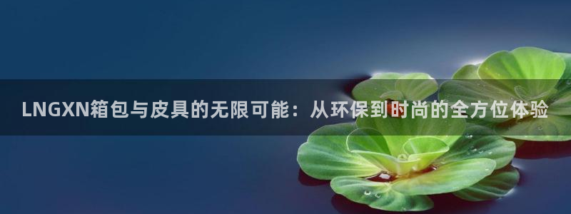 辉达娱乐多少年
