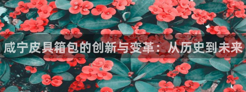 辉达平台官网下载