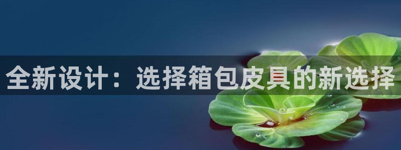 辉达娱乐线路检测