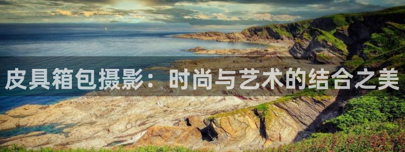 辉达娱乐公司