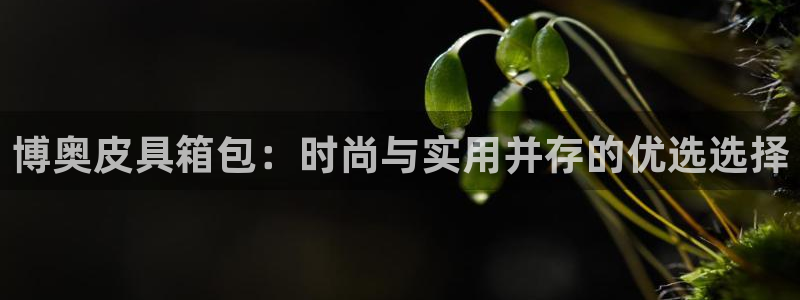 菲律宾辉达娱乐