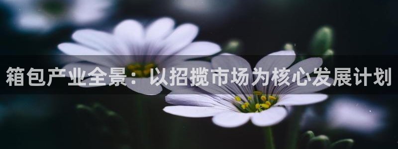 辉达娱乐官网