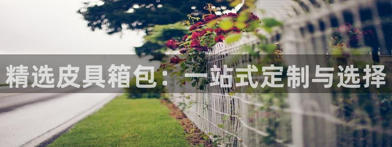 辉达娱乐加q75775