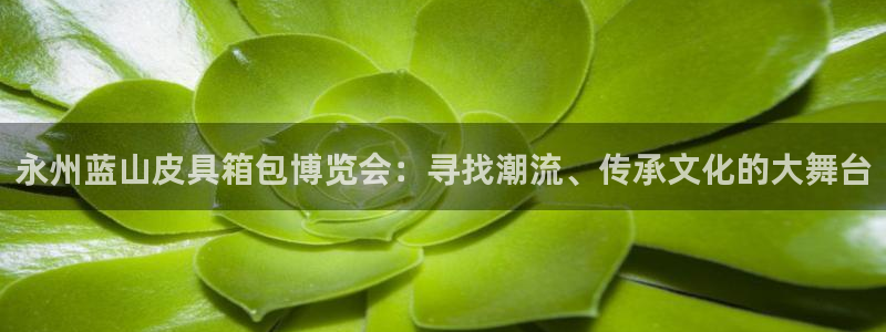 辉达娱乐可靠