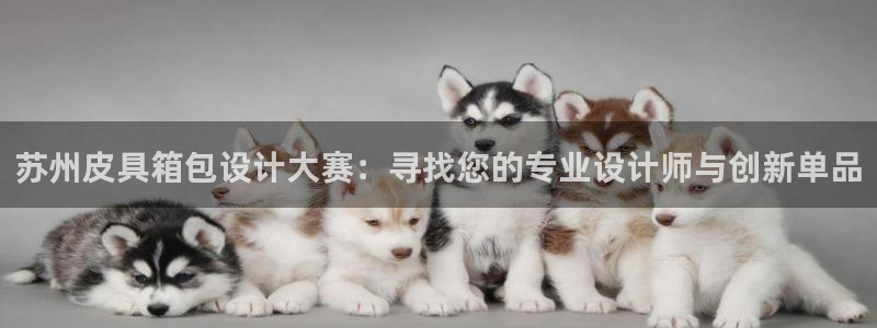 辉达平台娱乐怎么样