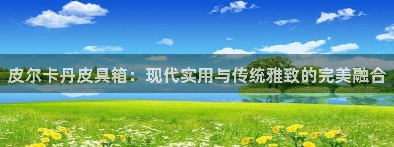 代理辉达娱乐平台