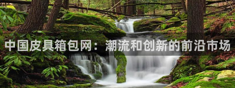辉达娱乐电子游艺