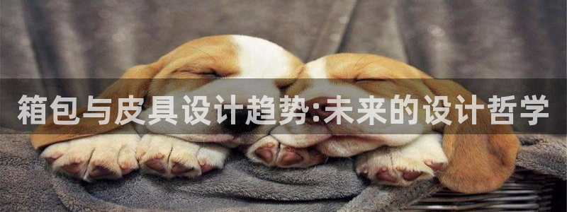 辉达娱乐待遇