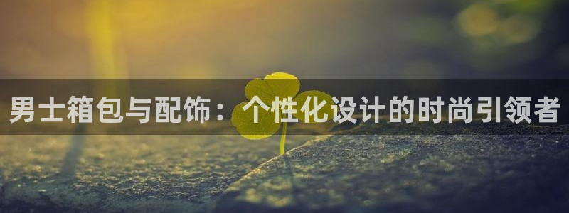 辉达娱乐平台