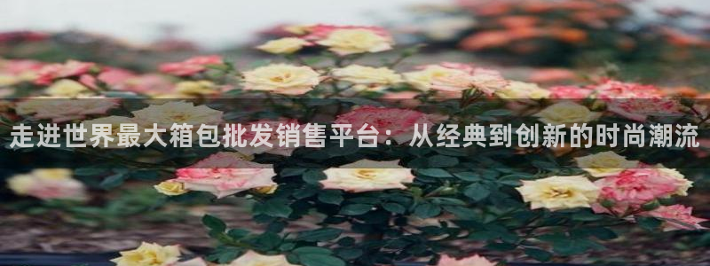 菲律宾辉达娱乐