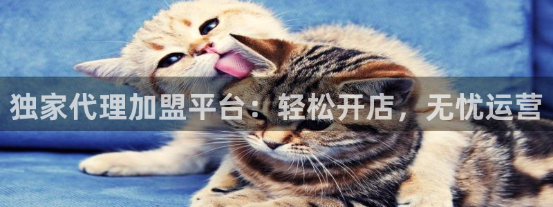 专业辉达娱乐官方网址