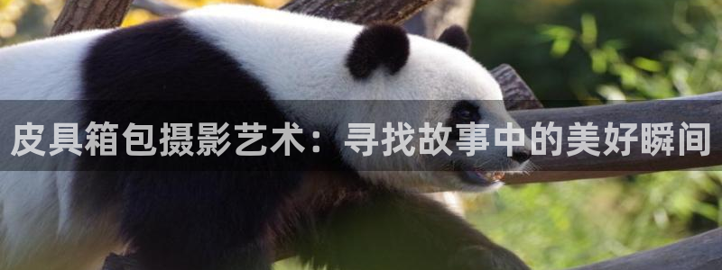 辉达娱乐检测