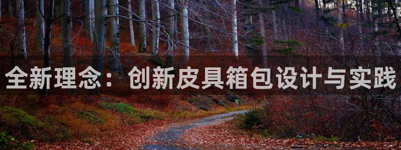辉达娱乐公司